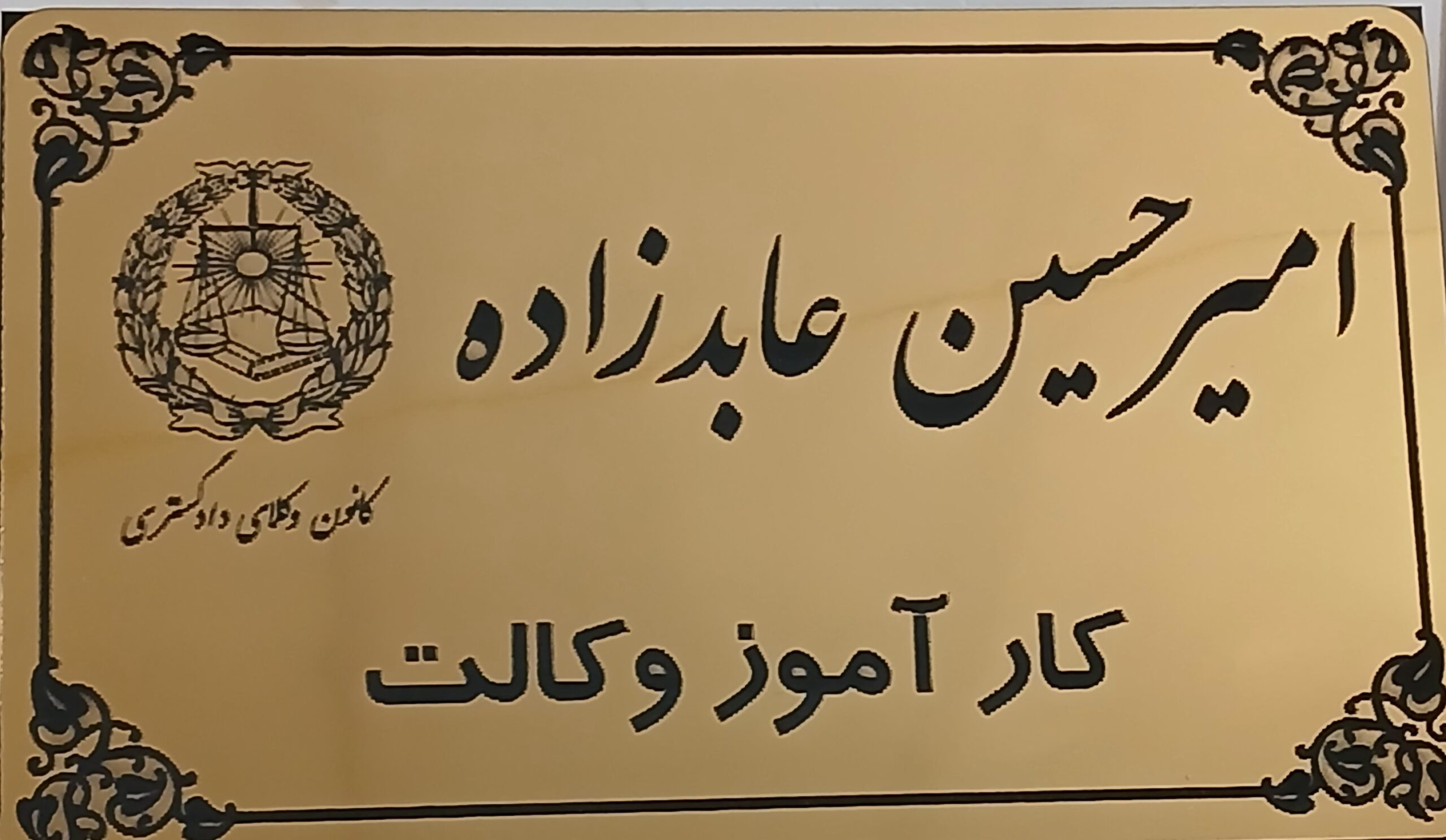 کار اموز وکالت امی عابدزاده